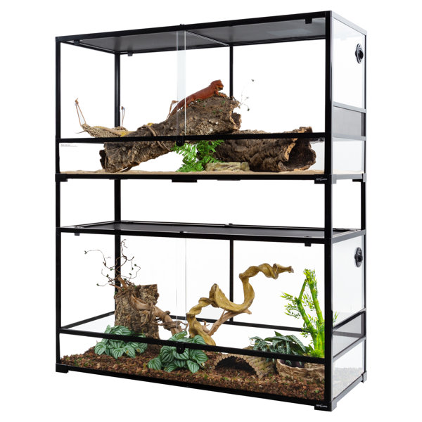 40 gallon best sale glass terrarium